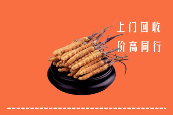 附近收购：固阳冬虫夏草回收多少钱每克